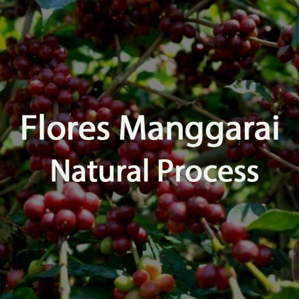 Green Bean Kopi Arabica Flores Manggarai Natural Process - 1 Kg