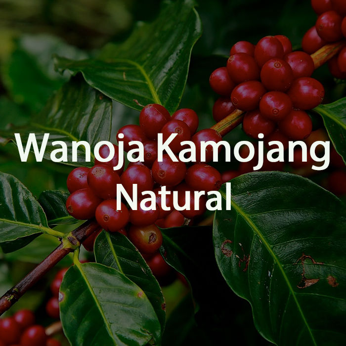 Green Bean Kopi Arabica Wanoja Kamojang Natural Process - 1 KG