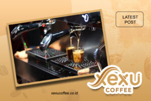 artikel xexu coffe 12