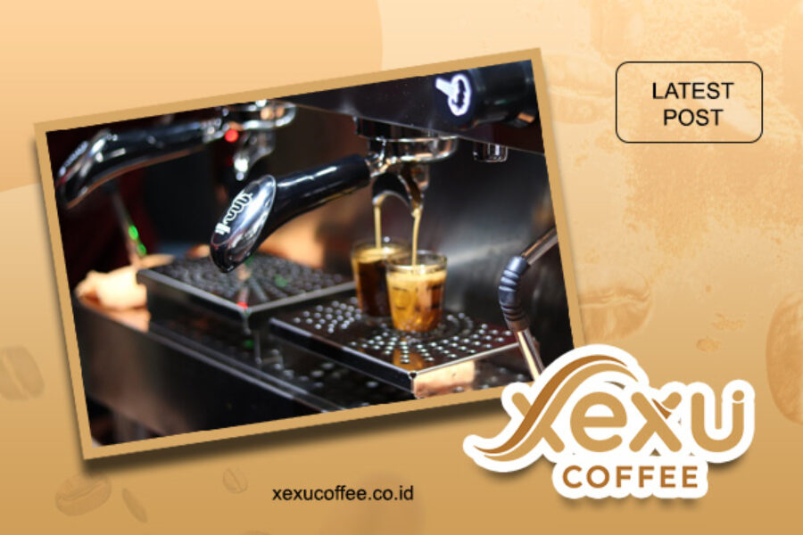 artikel xexu coffe 12